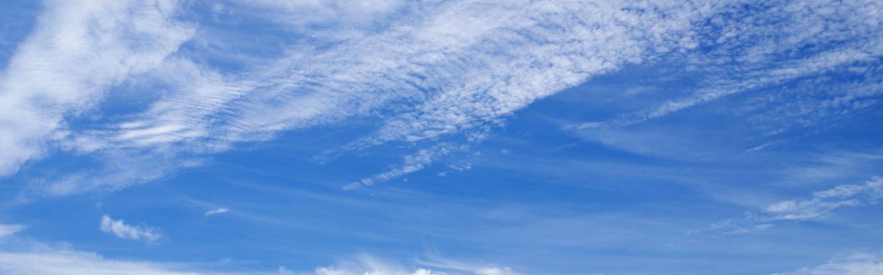 今年もありがとうございました